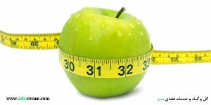 گیاهان دارویی و کاهش وزن و لاغری