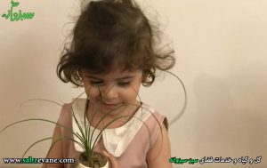تهیه گلدان و گیاه برای آموزش کودک