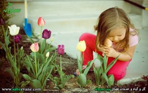 تاثیر ارتباط کودک با طبیعت و گیاهان
