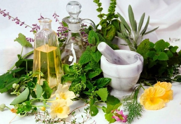 گیاهان دارویی پر طرفدار در طب سنتی کدامند؟ 3