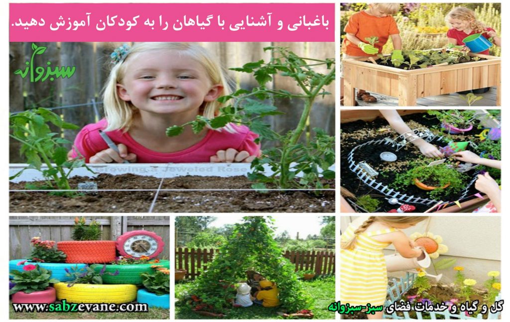 باغبانی و شناخت گیاهان به کودکان