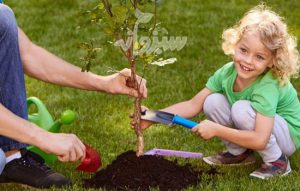 مراقبت از گیاهان و آبیاری و باغبانی در فصل بهار