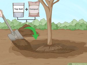 پر کردن چاله با خاک و مواد مناسب